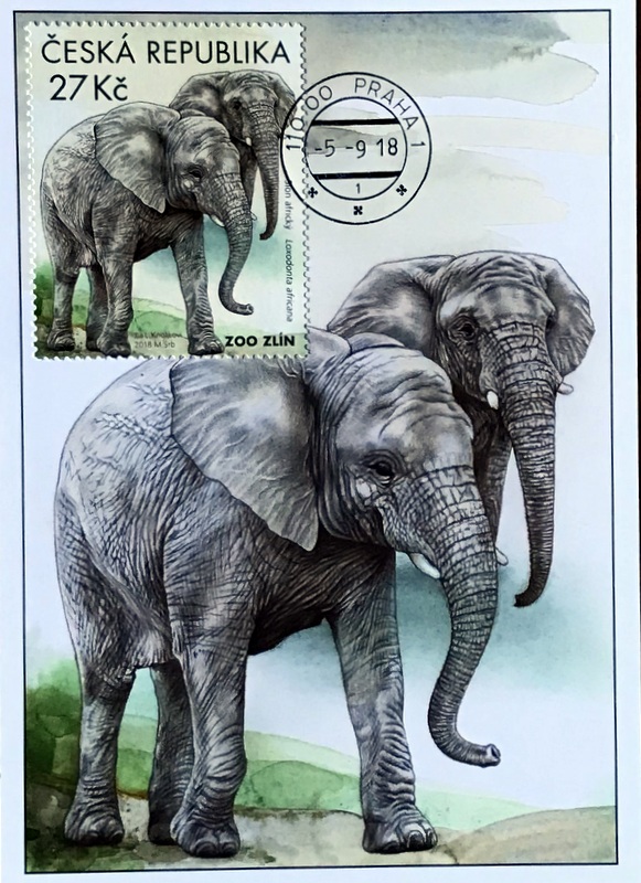 Cartes · Cartes postales Afrique