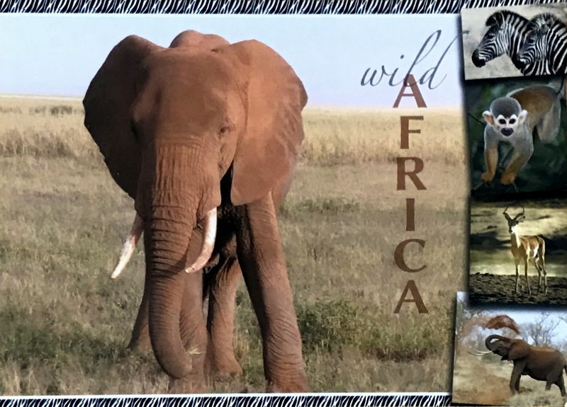 Cartes · Cartes postales Afrique