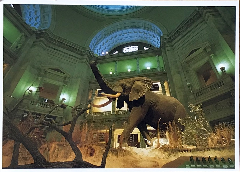Cartes · Cartes postales Afrique
