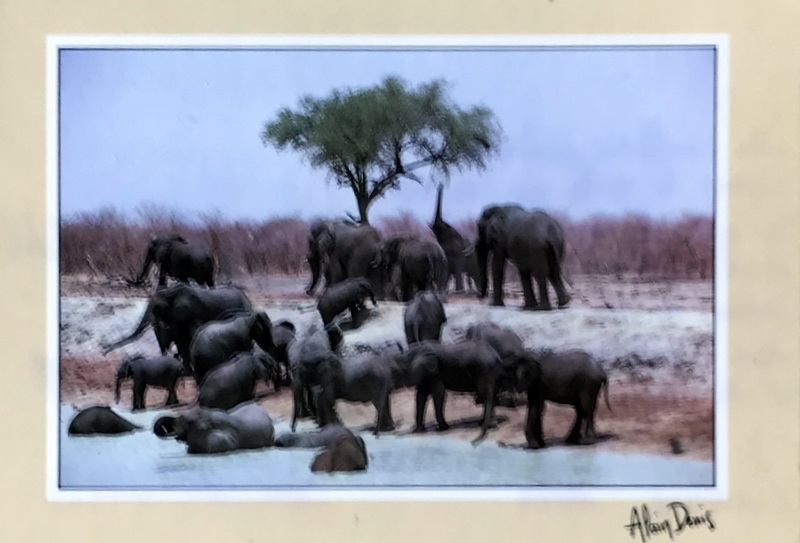 Cartes · Cartes postales Afrique