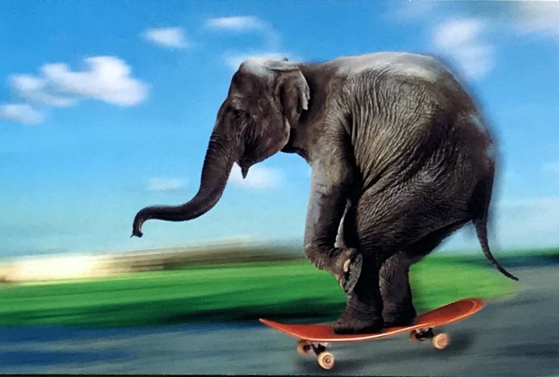 Cartes · Cartes postales Humour