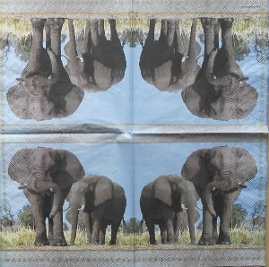 Serviettes en papier · Serviettes Papier