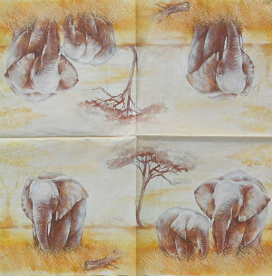 Serviettes en papier · Serviettes Papier