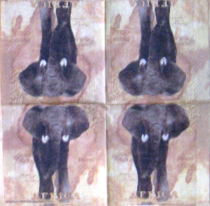 Serviettes en papier · Serviettes EN Papier - Tissus