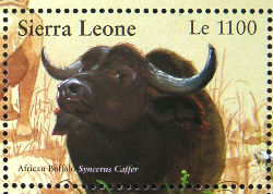 Timbres · Sierra Leone