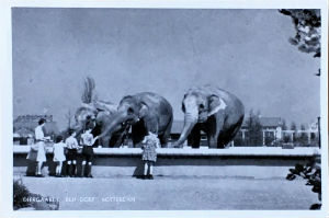 Cartes · Cartes postales Asie