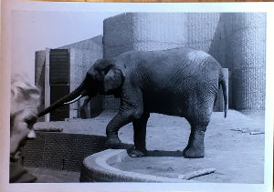 Cartes · Cartes postales Asie