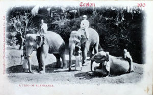 Cartes · Cartes postales Asie