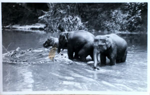 Cartes · Cartes postales Asie