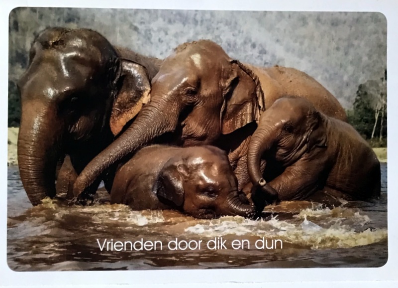 Cartes · Cartes postales Asie