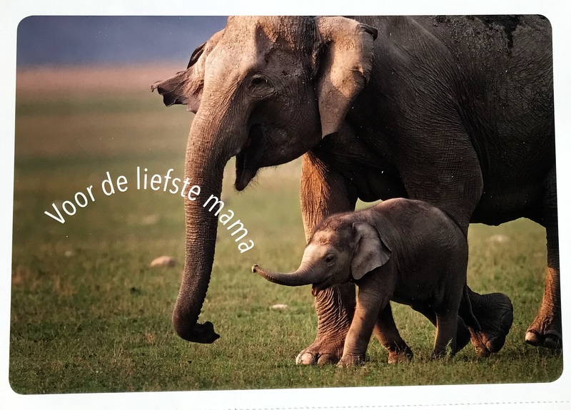 Cartes · Cartes postales Asie