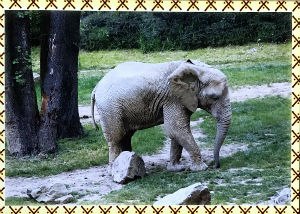 Cartes · Cartes postales Asie