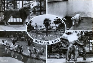 Cartes · Cartes postales Asie