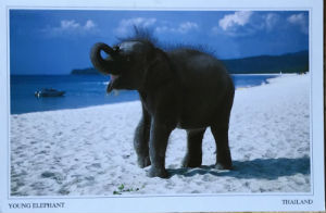 Cartes · Cartes postales Asie