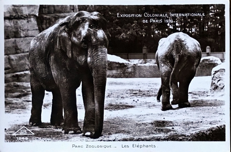Cartes · Cartes postales Asie