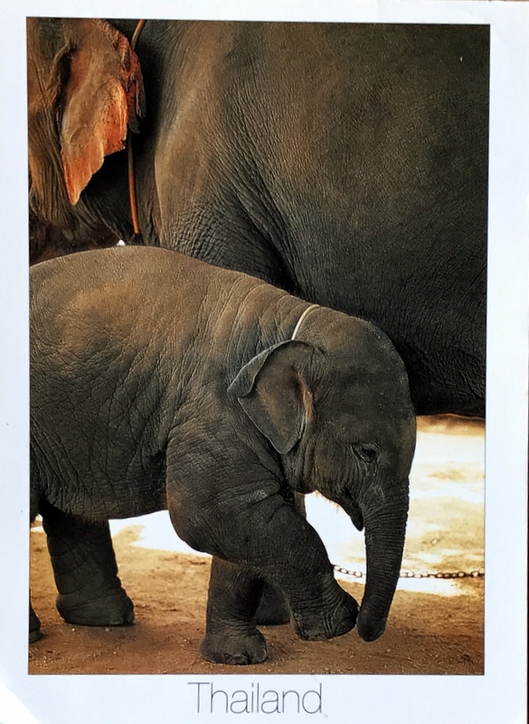 Cartes · Cartes postales Asie
