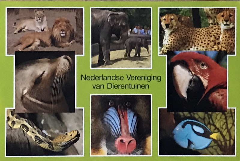 Cartes · Cartes postales Asie