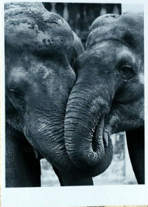 Cartes · Cartes postales Asie