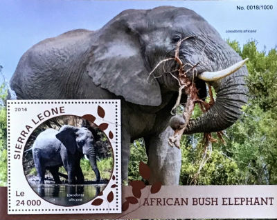 Timbres · Sierra Leone