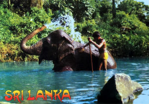 Cartes · Cartes postales Asie - Cambodge, Inde, Laos, Sri Lanka