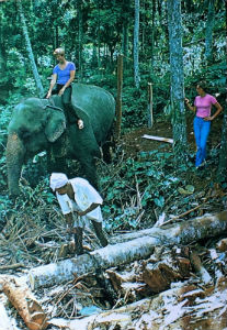 Cartes · Cartes postales Asie - Cambodge, Inde, Laos, Sri Lanka