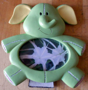 Objets insolites