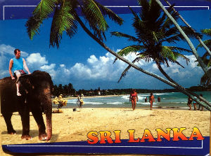 Cartes · Cartes postales Asie - Éléphants d'Asie