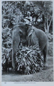 Cartes · Cartes postales Asie - Cambodge, Inde, Laos, Sri Lanka