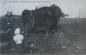 Cartes · Cartes postales Asie - Cambodge, Inde, Laos, Sri Lanka