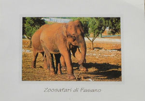 Cartes · Cartes postales Asie - Cambodge, Inde, Laos, Sri Lanka