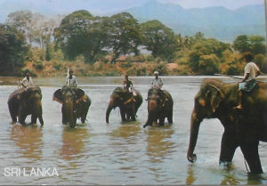Cartes · Cartes postales Asie - Cambodge, Inde, Laos, Sri Lanka