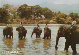 Cartes · Cartes postales Asie - Cambodge, Inde, Laos, Sri Lanka