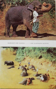 Cartes · Cartes postales Asie - Cambodge, Inde, Laos, Sri Lanka
