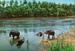 Cartes · Cartes postales Asie - Cambodge, Inde, Laos, Sri Lanka
