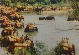 Cartes · Cartes postales Asie - Cambodge, Inde, Laos, Sri Lanka
