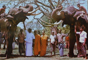 Cartes · Cartes postales Asie - Cambodge, Inde, Laos, Sri Lanka
