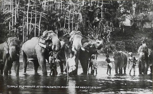 Cartes · Cartes postales Asie - Cambodge, Inde, Laos, Sri Lanka