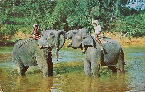 Cartes · Cartes postales Asie - Cambodge, Inde, Laos, Sri Lanka