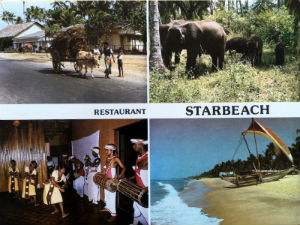 Cartes · Cartes postales Asie - Éléphants d'Asie