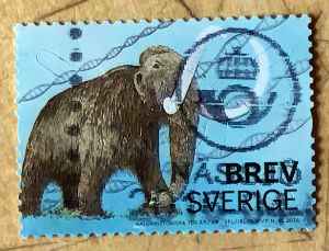 Timbres · Suede
