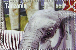 Timbres · Tanzanie