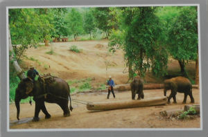 Cartes · Cartes postales Asie - Thaïlande
