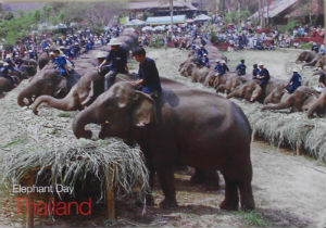 Cartes · Cartes postales Asie - Thaïlande