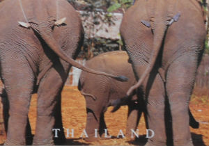 Cartes · Cartes postales Asie - Thaïlande