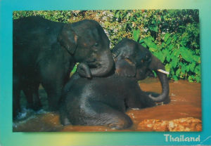 Cartes · Cartes postales Asie - Thaïlande