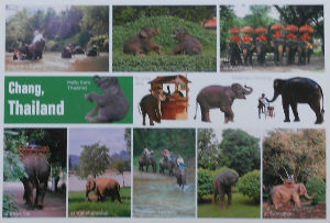 Cartes · Cartes postales Asie - Thaïlande