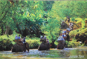 Cartes · Cartes postales Asie - Thaïlande
