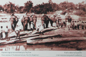 Cartes · Cartes postales Asie - Thaïlande