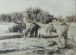 Cartes · Cartes postales Asie - Thaïlande