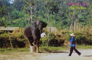 Cartes · Cartes postales Asie - Thaïlande